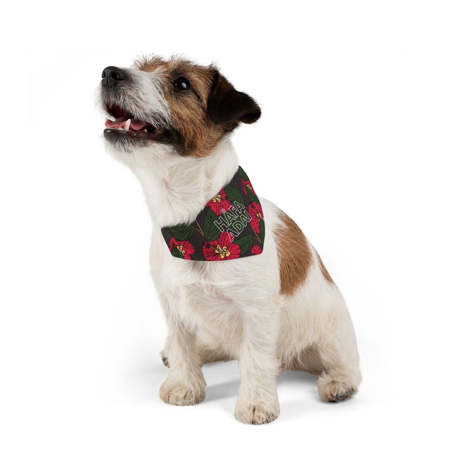 Hibiscus - Pet Bandana Collar