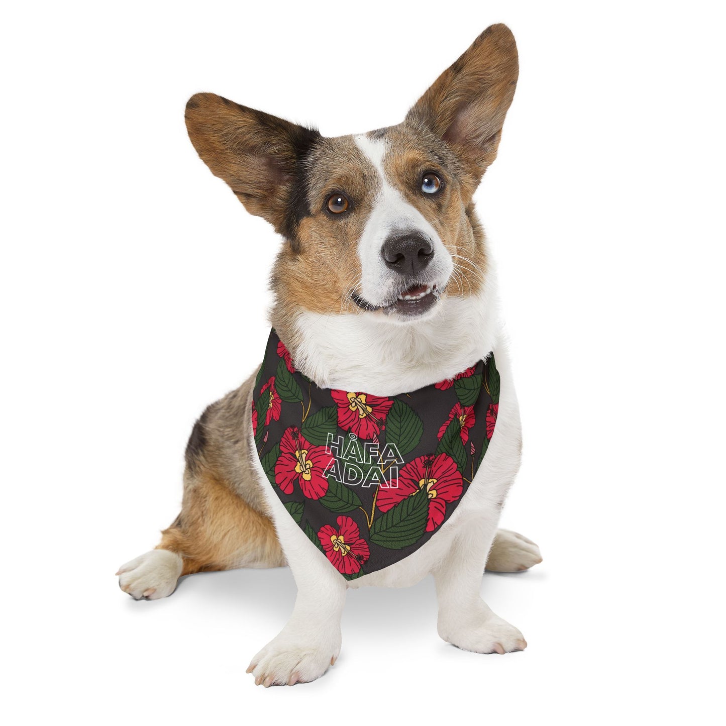 Hibiscus - Pet Bandana Collar