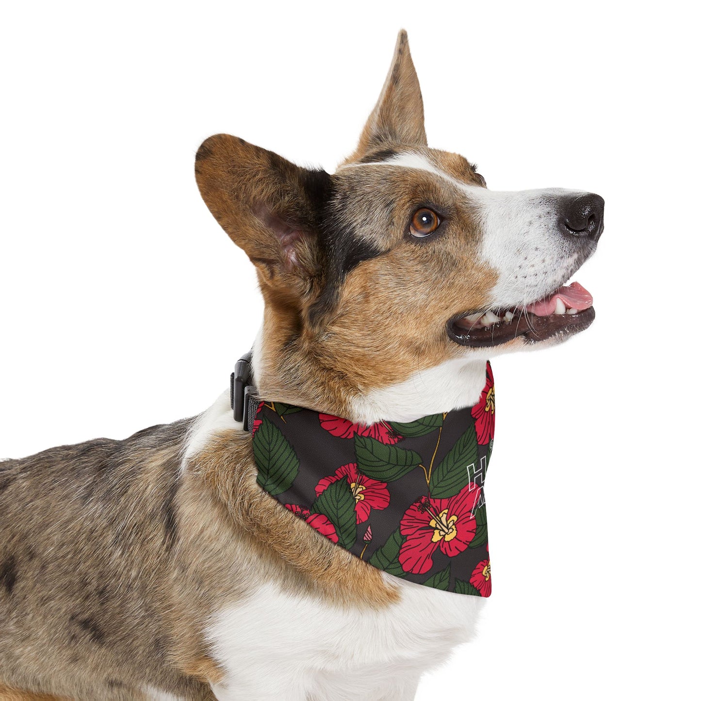 Hibiscus - Pet Bandana Collar