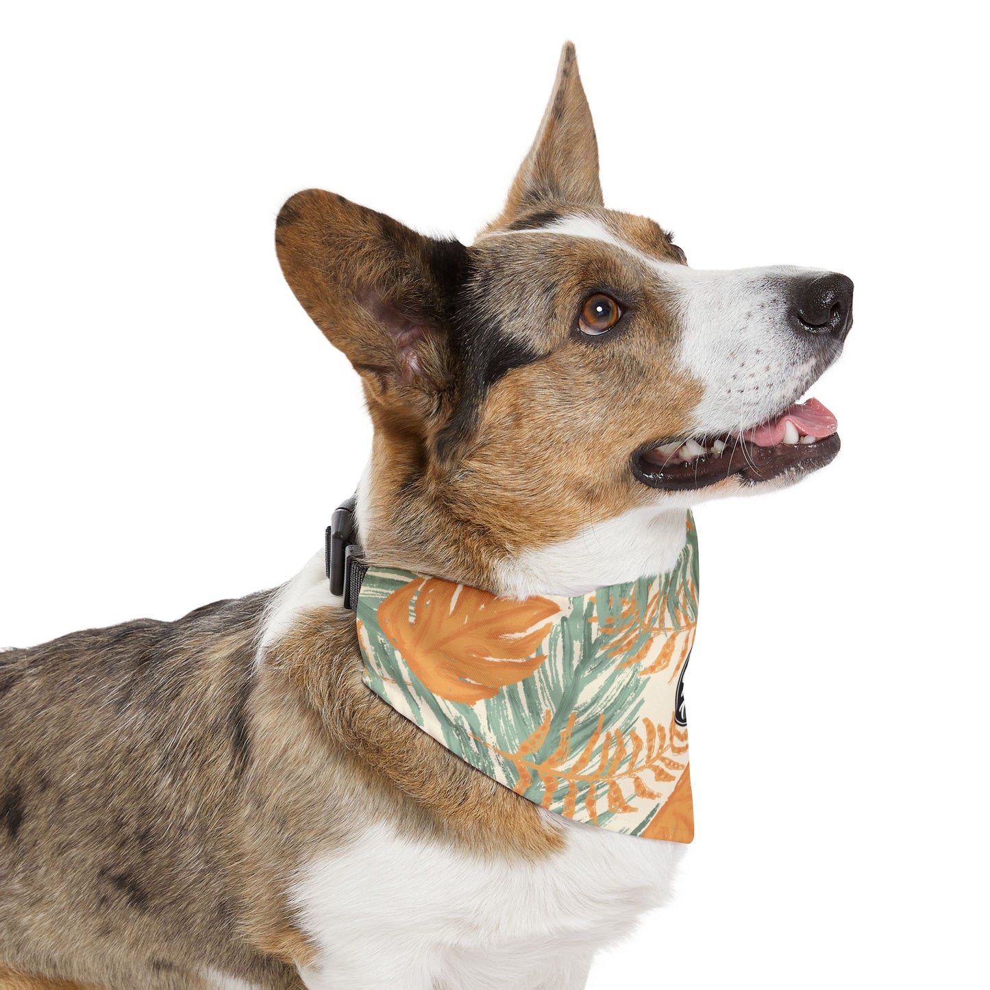 Orange & Green - Pet Bandana Collar