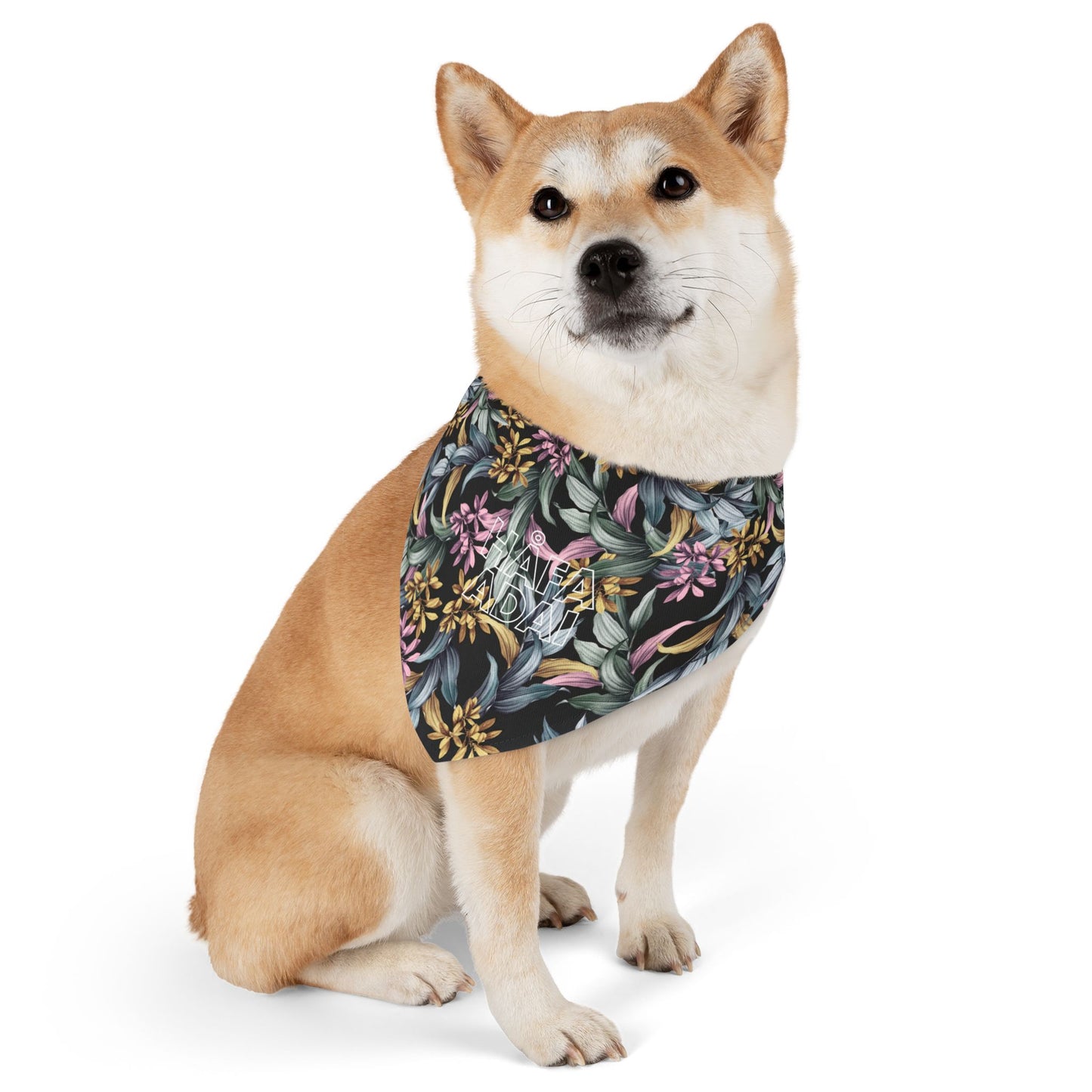 Håfa Adai - Pet Bandana Collar