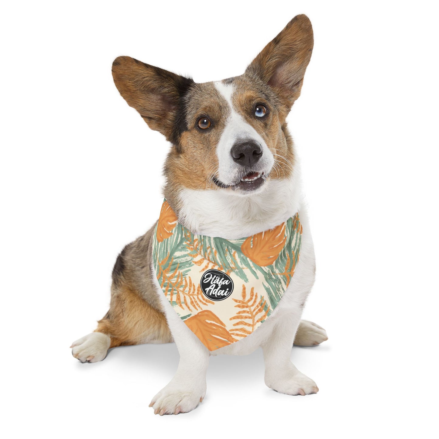 Orange & Green - Pet Bandana Collar