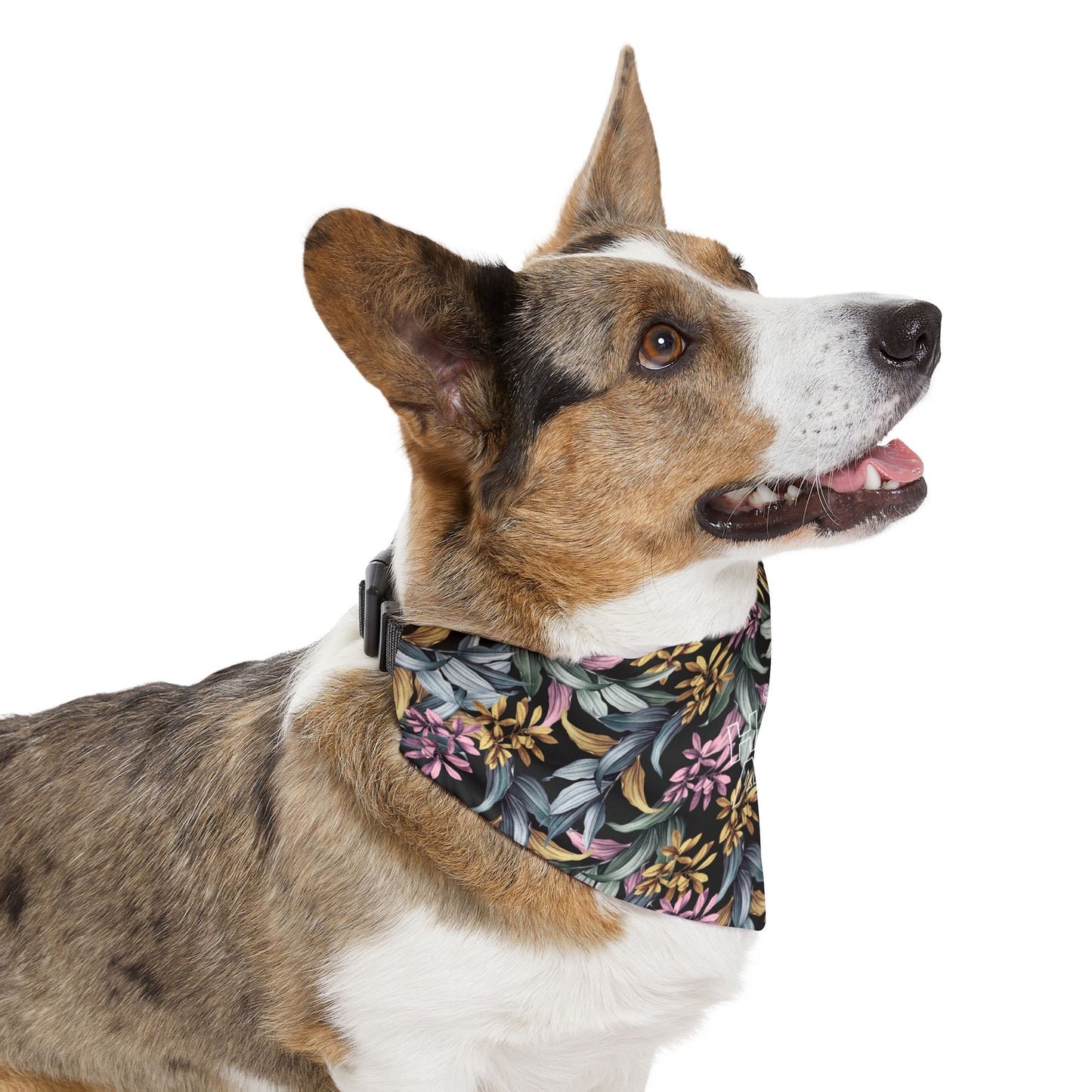 Håfa Adai - Pet Bandana Collar