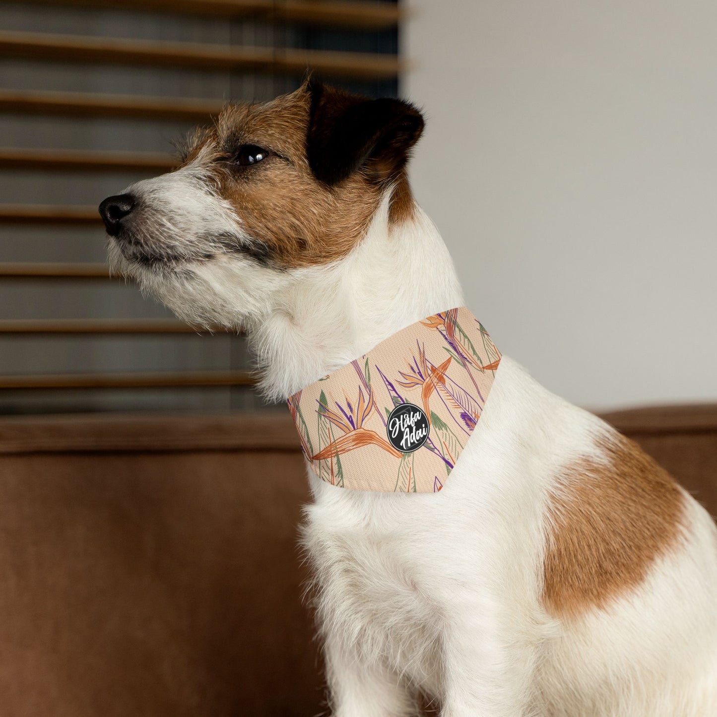 Paradise - Pet Bandana Collar