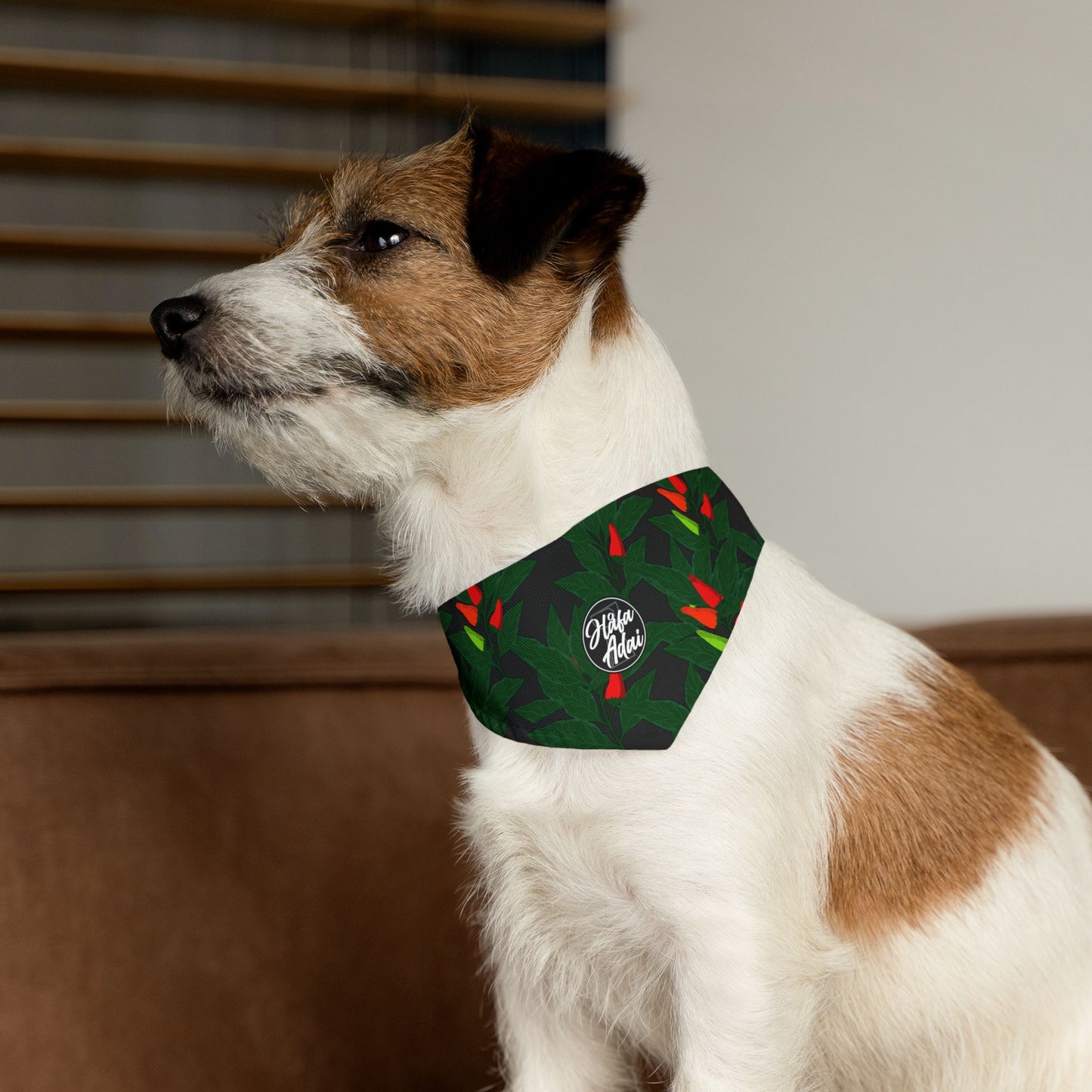 Donne'  - Pet Bandana Collar