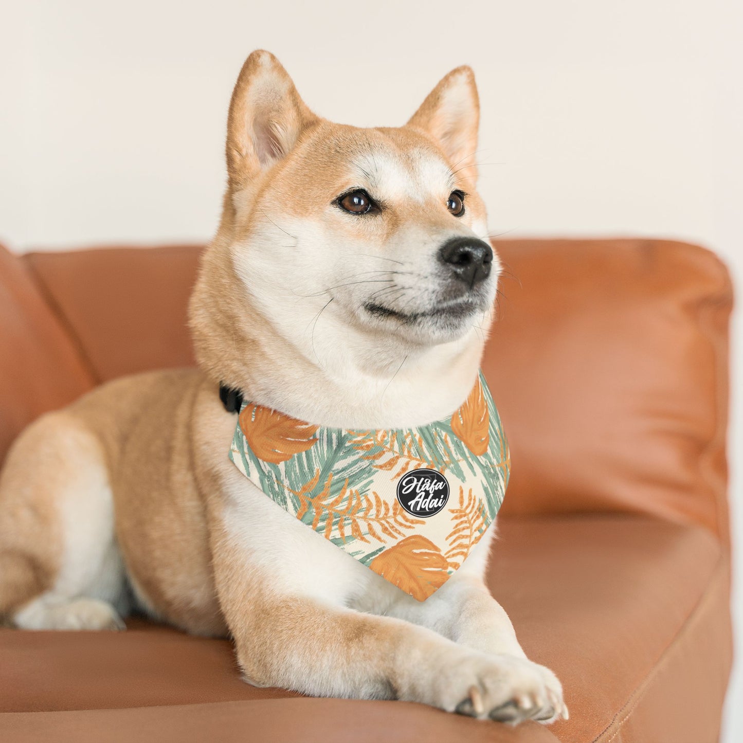 Orange & Green - Pet Bandana Collar