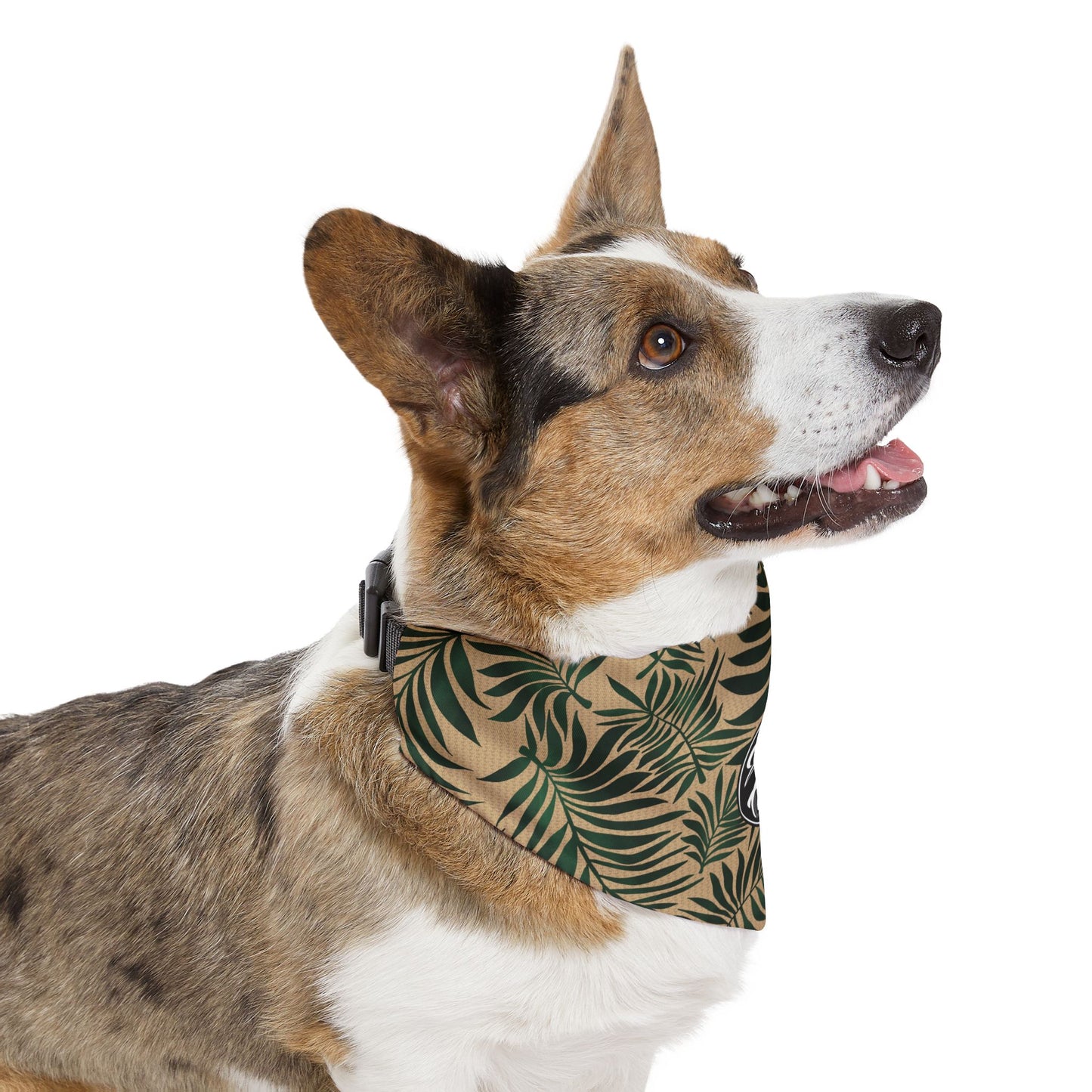 Palm - Pet Bandana Collar