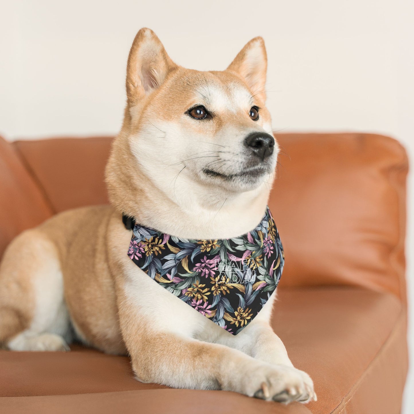 Håfa Adai - Pet Bandana Collar