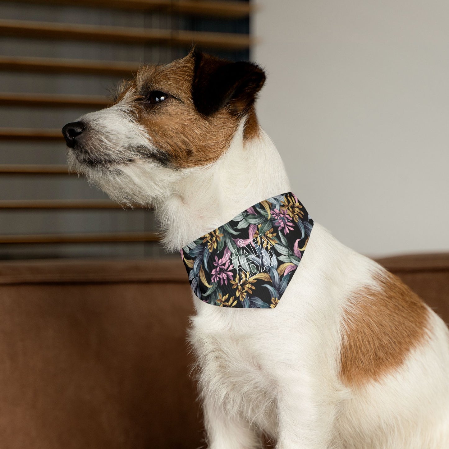 Håfa Adai - Pet Bandana Collar