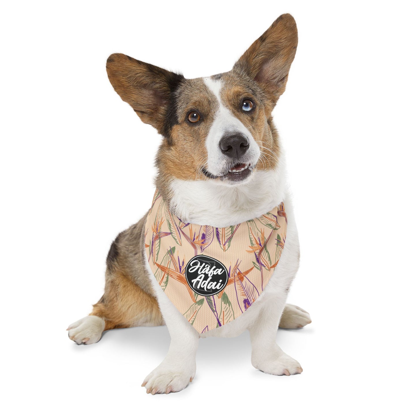 Paradise - Pet Bandana Collar