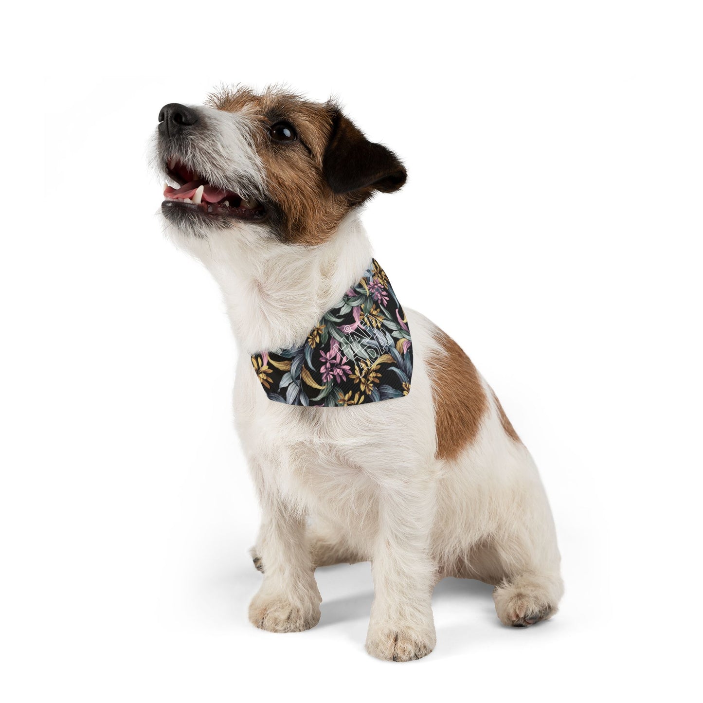 Håfa Adai - Pet Bandana Collar