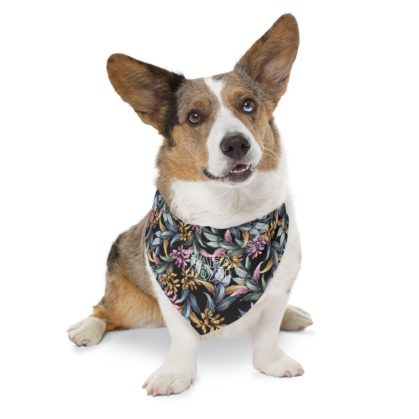 Håfa Adai - Pet Bandana Collar