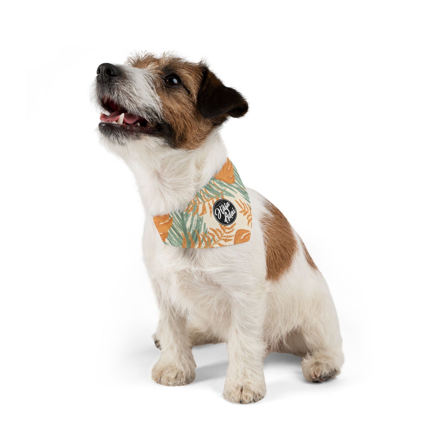 Orange & Green - Pet Bandana Collar