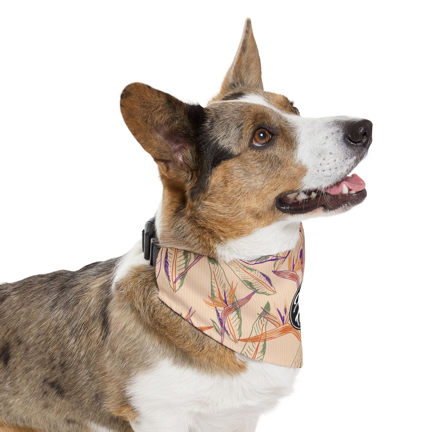 Paradise - Pet Bandana Collar